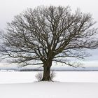 bei Preetz - Winter 2008/2009