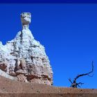 Bei "Queens Garden - Bryce Canyon"