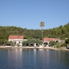 bei Rato auf Mljet (Sredo)