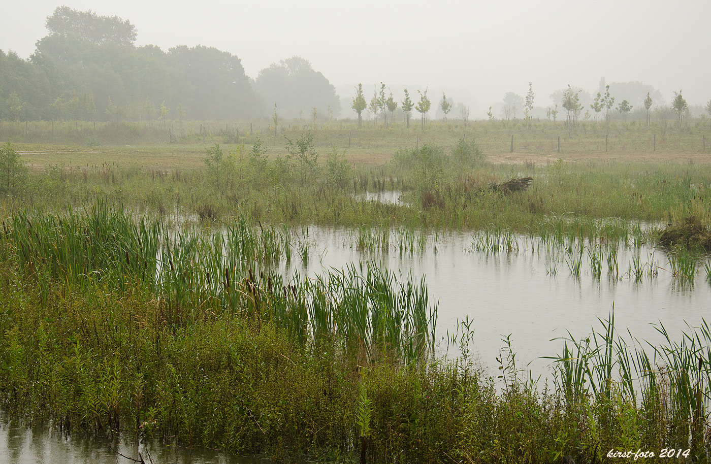 Bei Regen