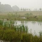 Bei Regen