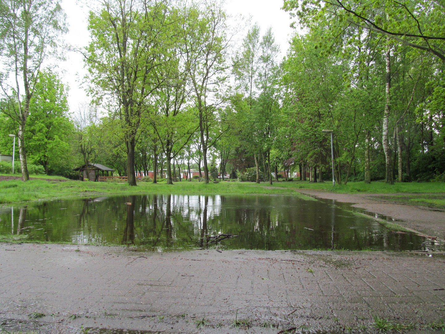 Bei Regen in unserem Stadtpark in Hemmoor