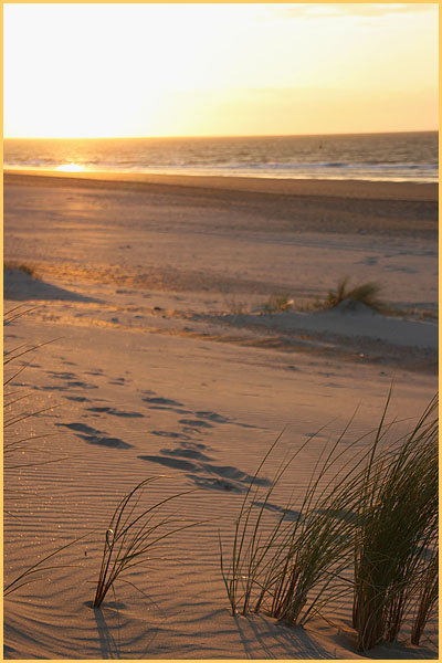 bei Renesse auf Zeeland