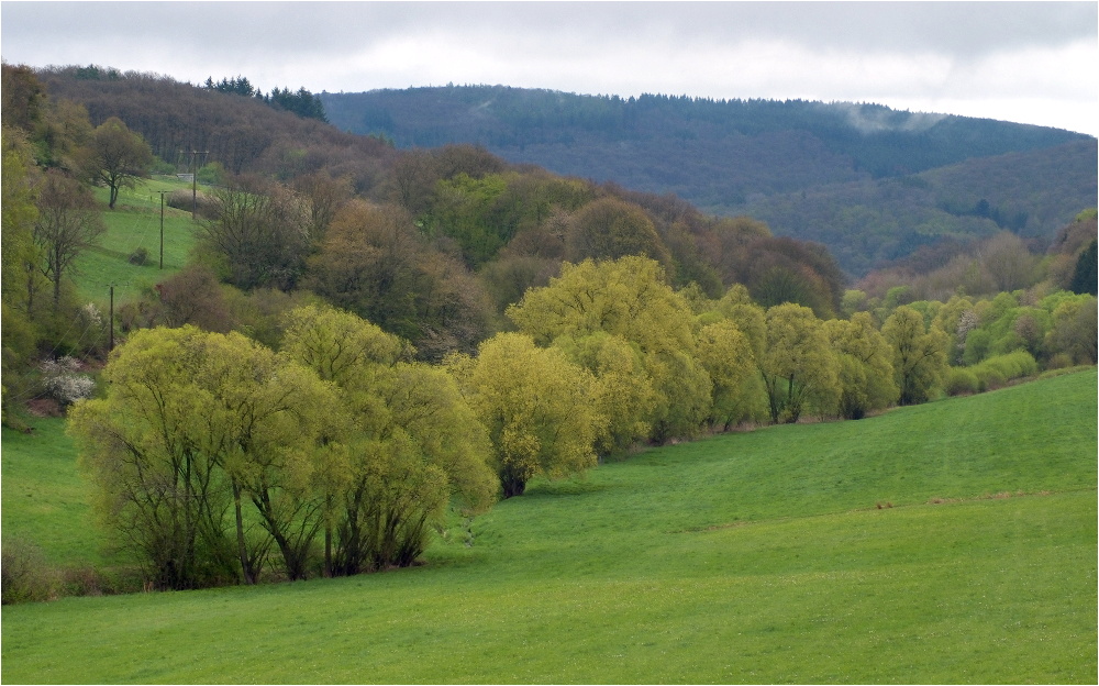 Bei Riedelbach im Taunus