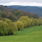 Bei Riedelbach im Taunus