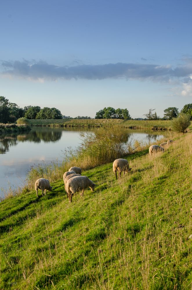 Bei Rönndeich