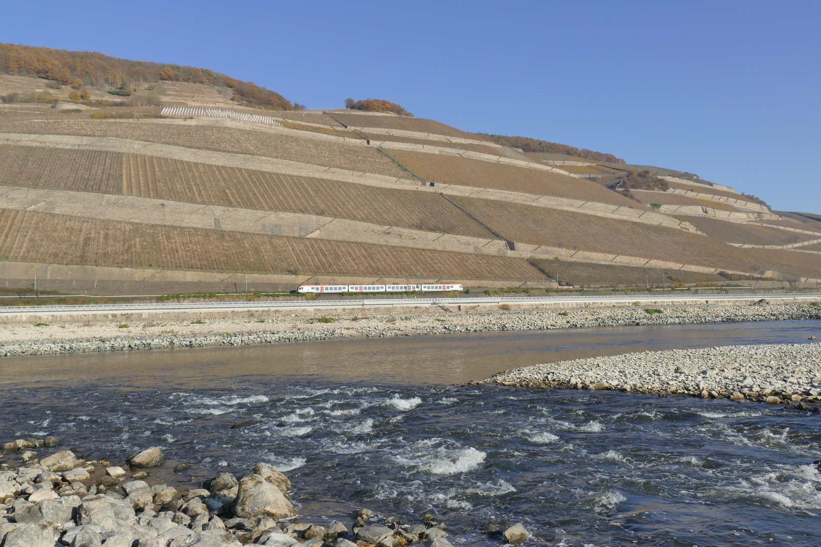 bei Rüdesheim