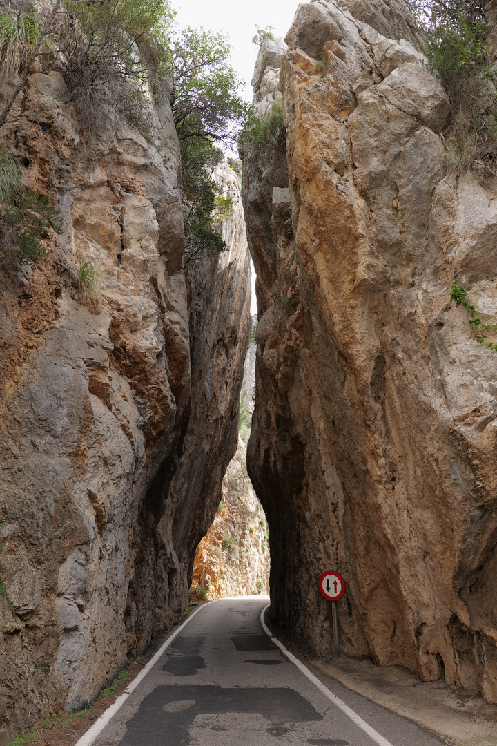 bei Sa Calobra (1)