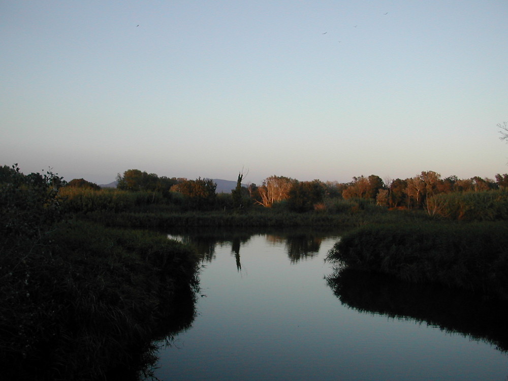 bei San Pere Pescador