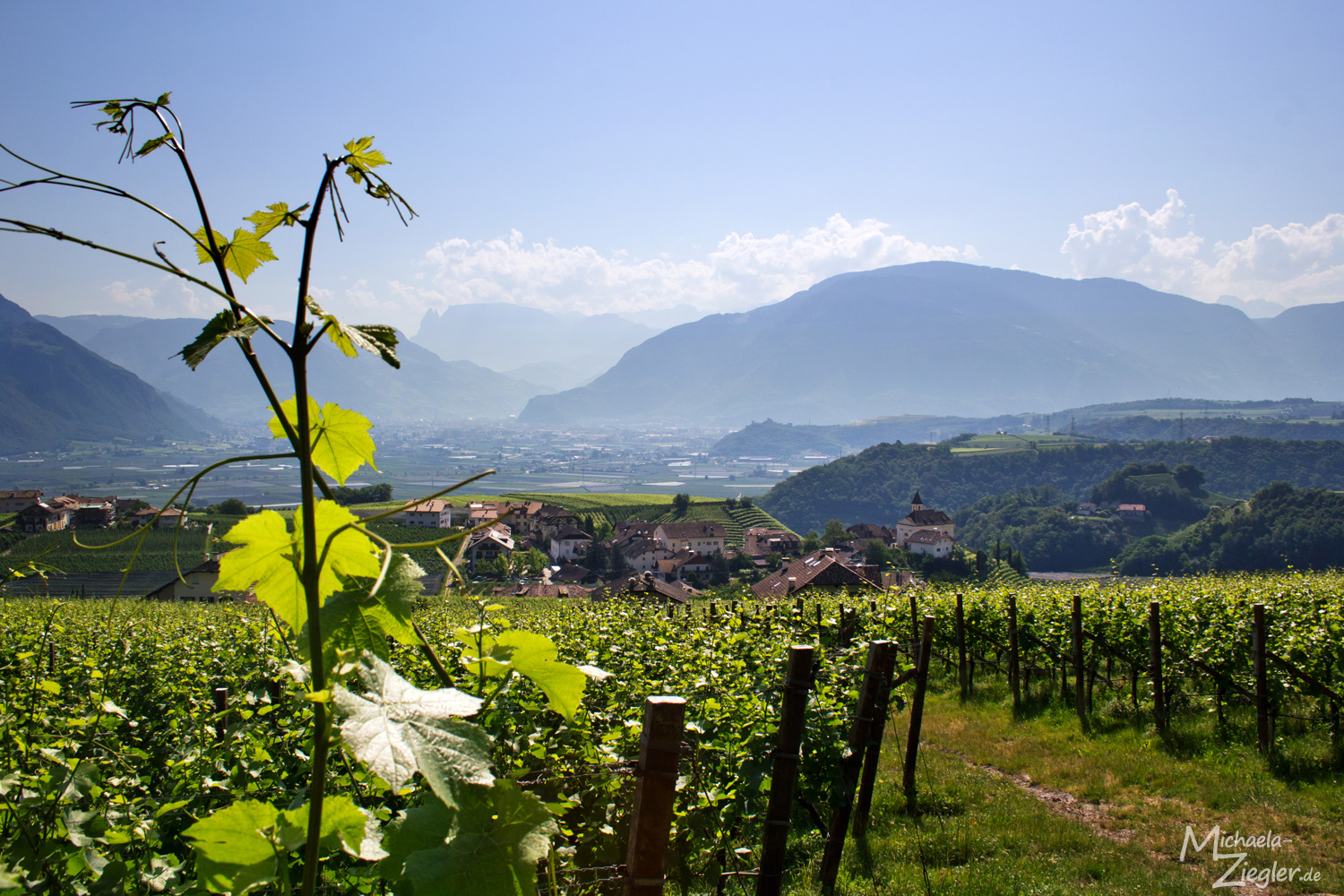 Bei Schloss Korb in Richtung Bozen