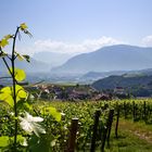 Bei Schloss Korb in Richtung Bozen