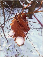 Bei Schneefall 