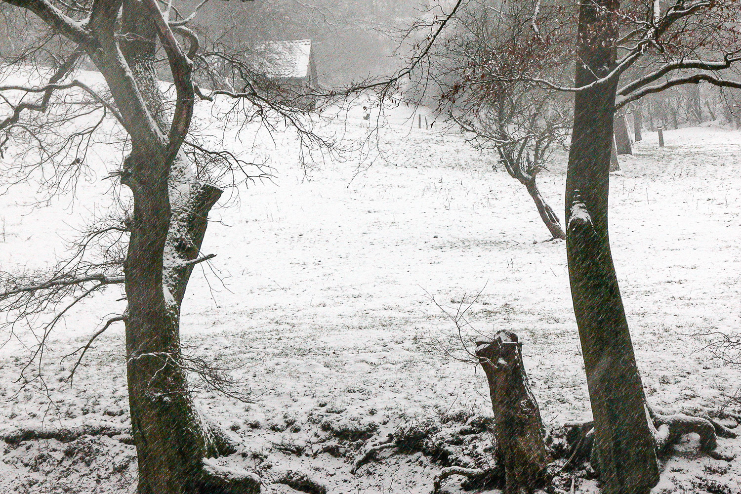 Bei Schneefall unterwegs,