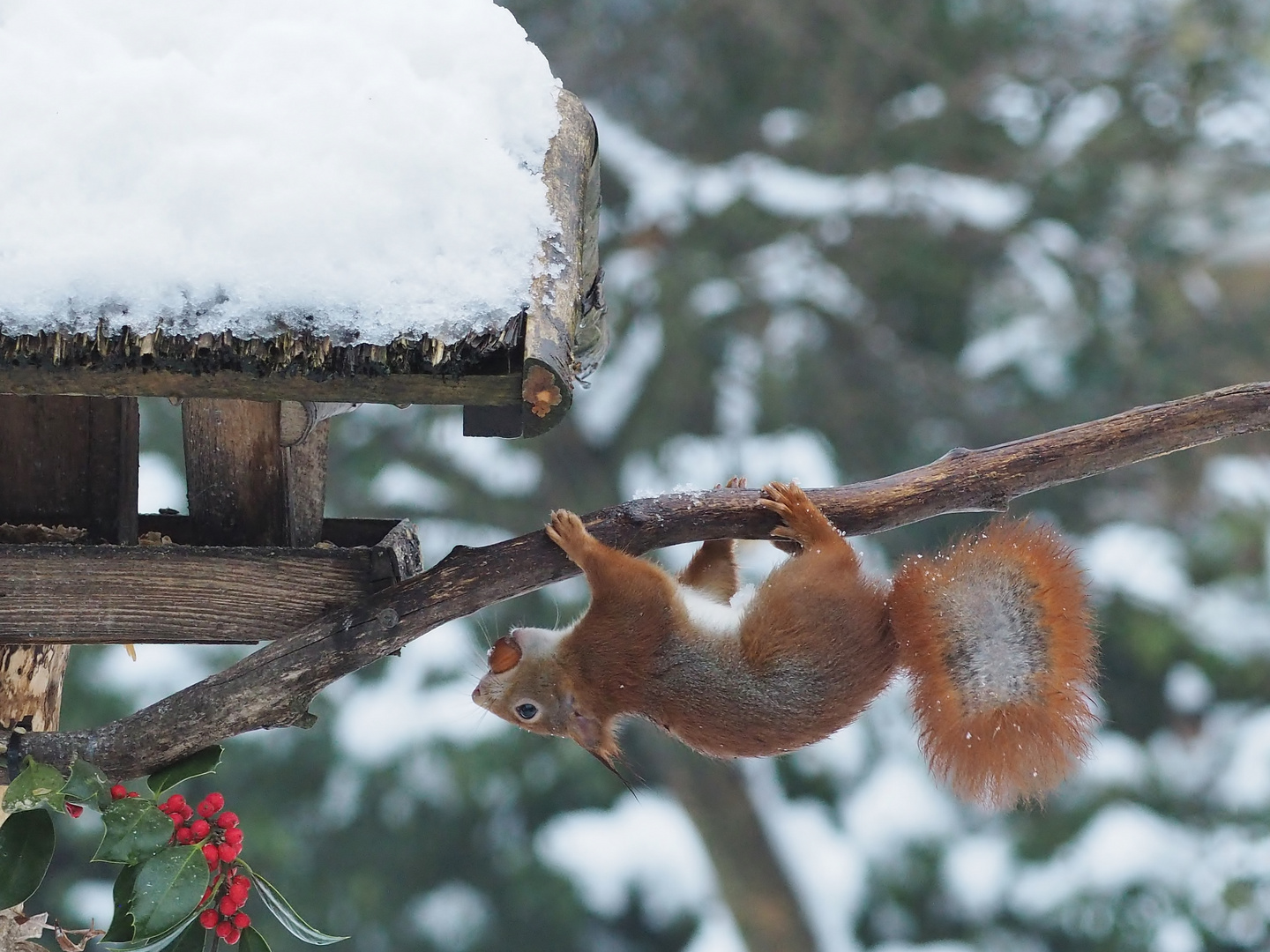 Bei Schneeverwehungen.....