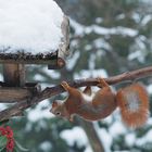 Bei Schneeverwehungen.....