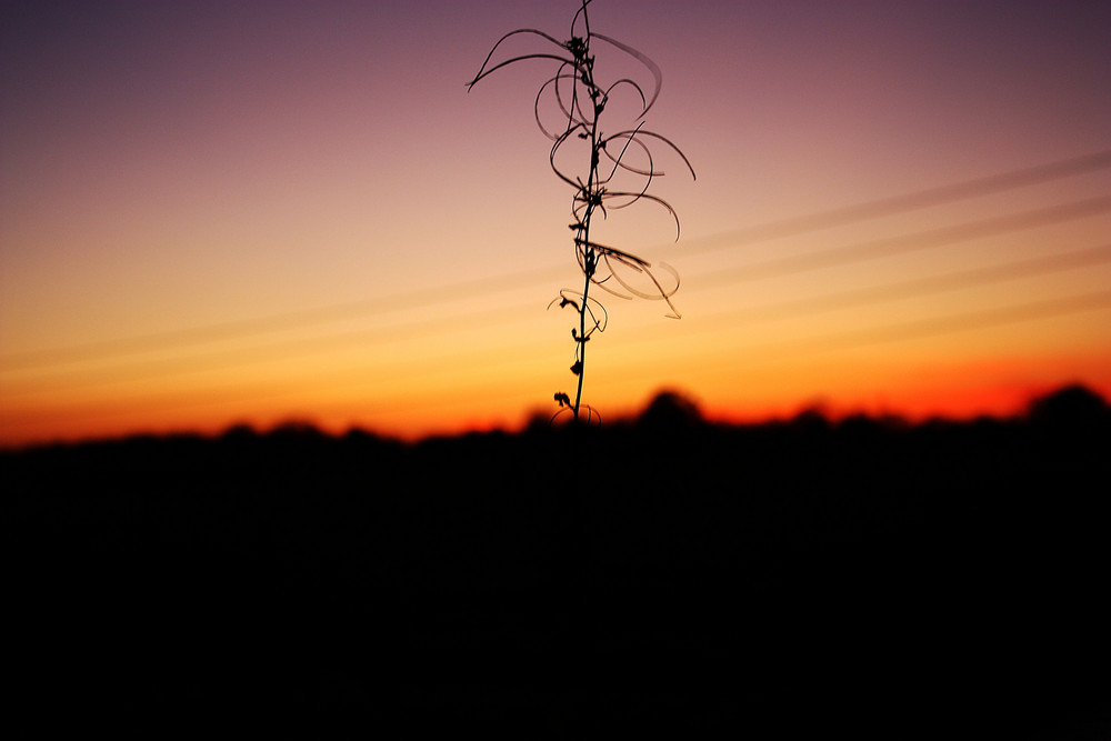 ...bei schönem Sonnenuntergang...