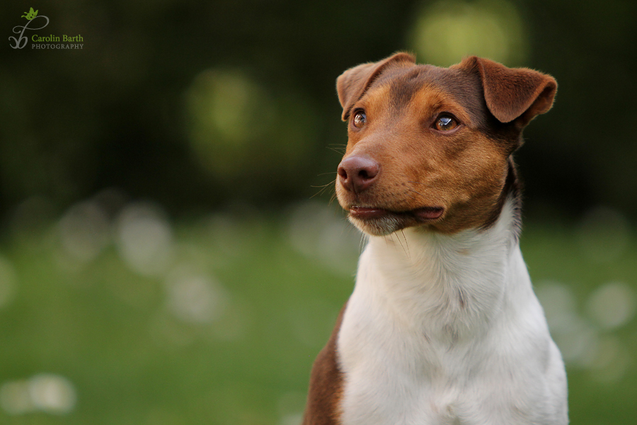 Bei seinem Blick...