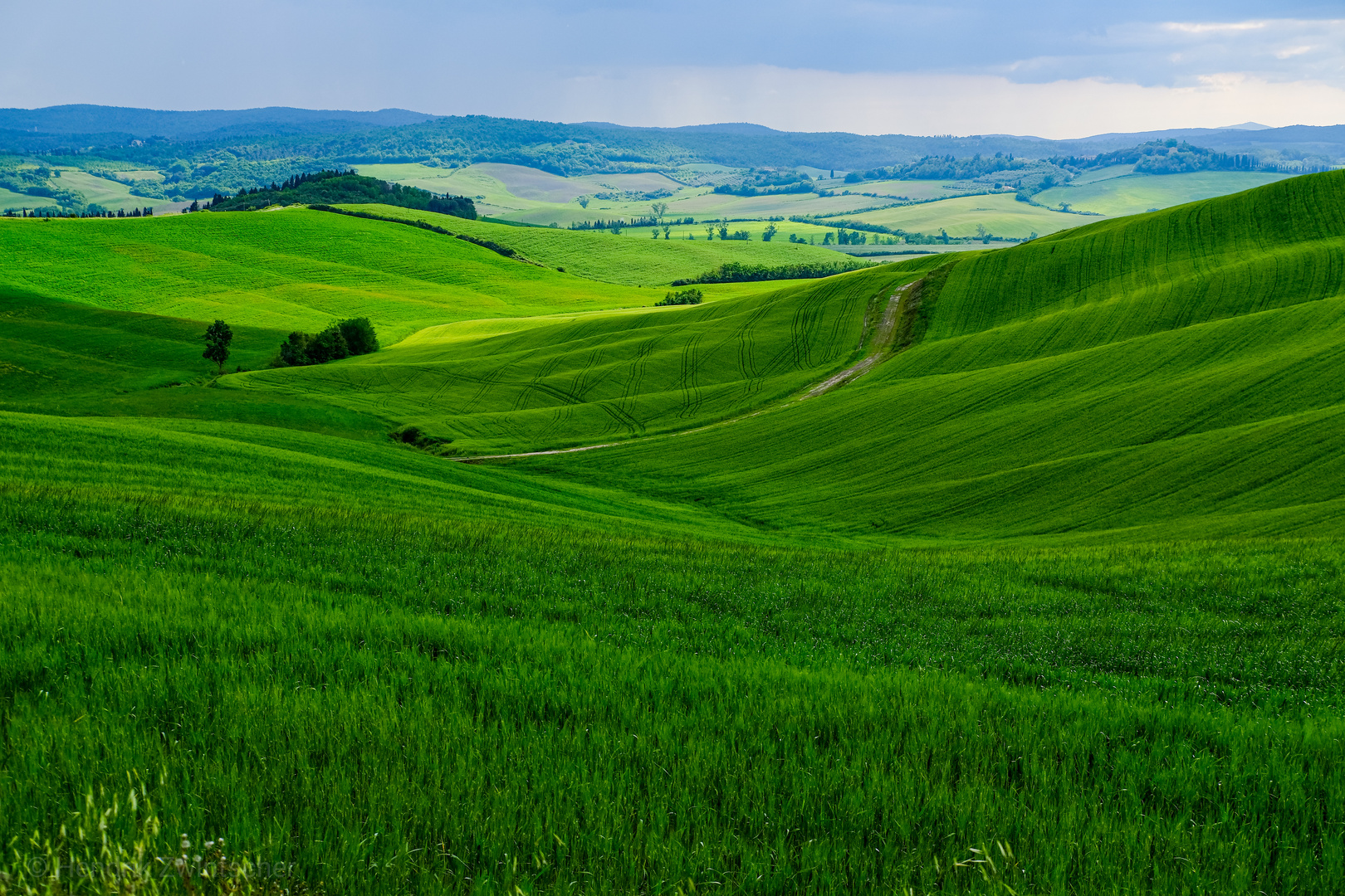 Bei Siena