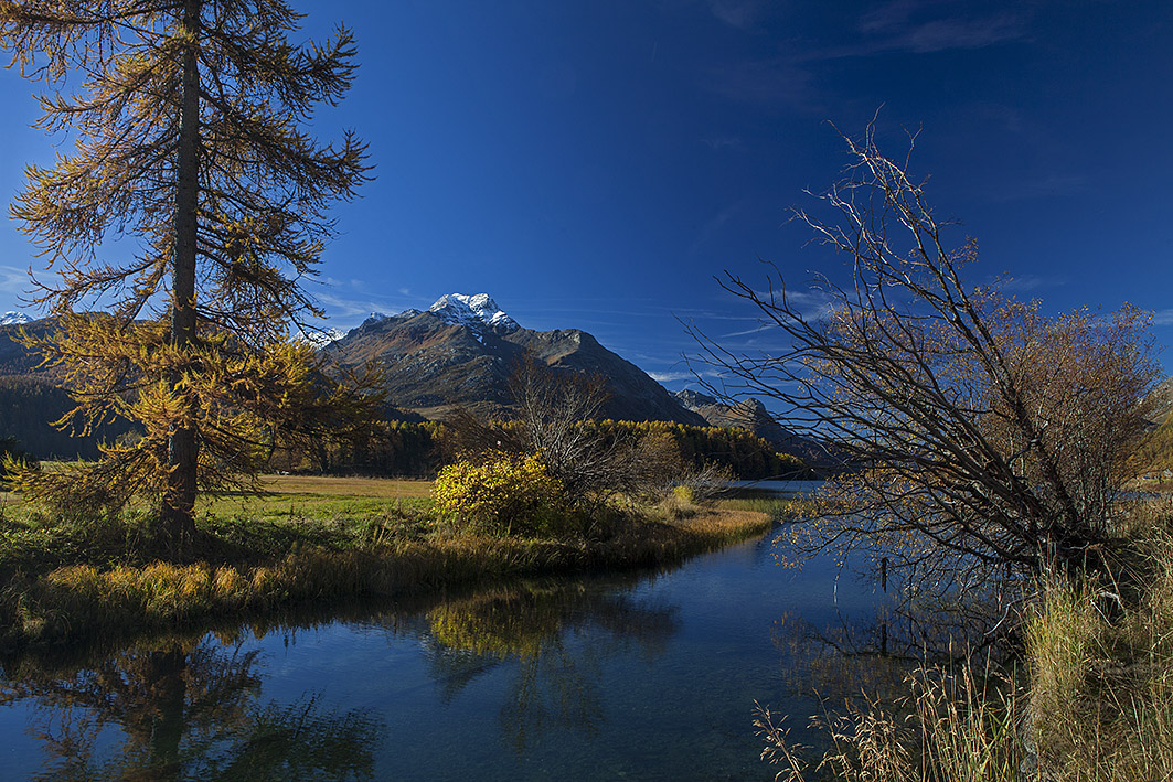 Bei Sils im Engadin