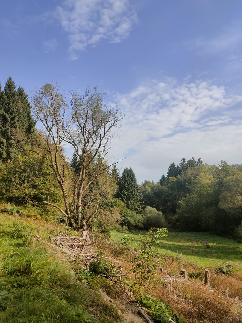 Bei Simmerath, Eifel