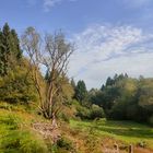 Bei Simmerath, Eifel