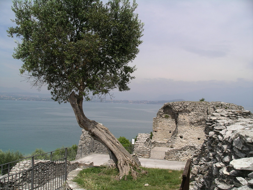 bei Sirmione im Süden des Gardasees