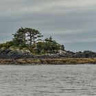 Bei Sitka.                            DSC_5729