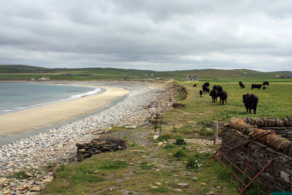 Bei Skara Brae