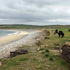 Bei Skara Brae