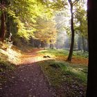 Bei so einer Atmosphäre geht man doch gerne wandern =)