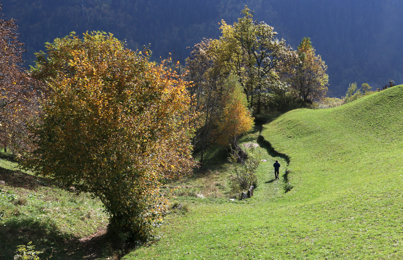 bei Soglio im Bergell (3)