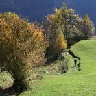 bei Soglio im Bergell (3)