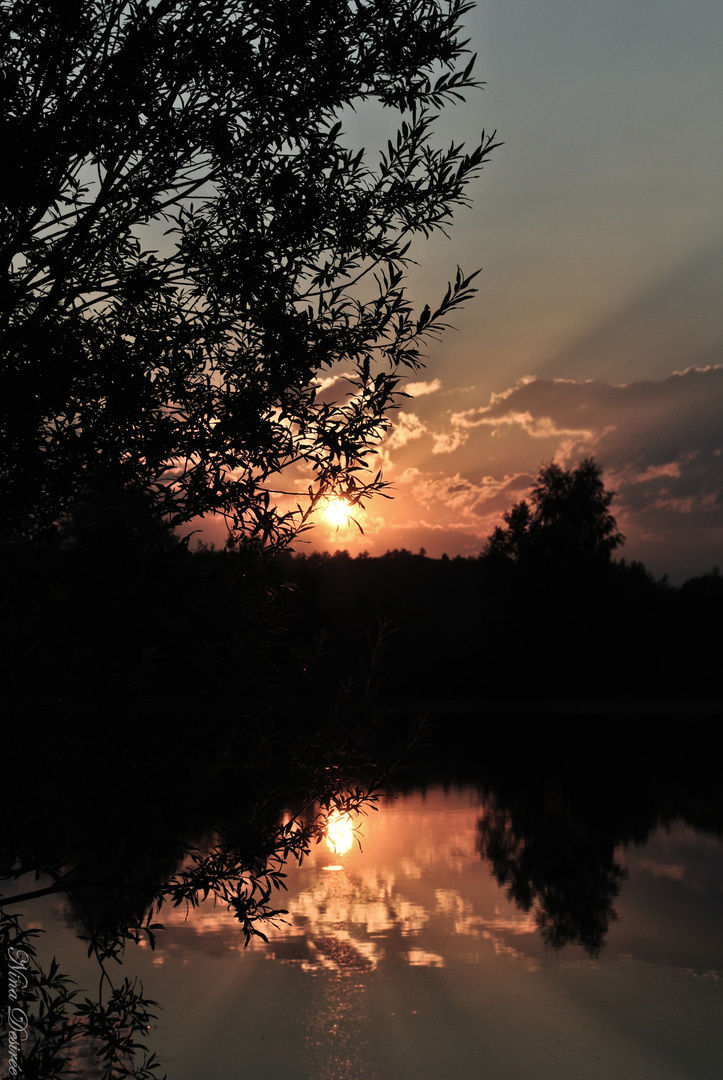 Bei solch einem Anblick schwindet jegliches Fernweh..