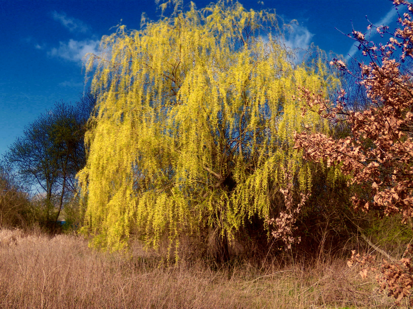 .....bei Sonne besehen sieht auch der April schön aus !!