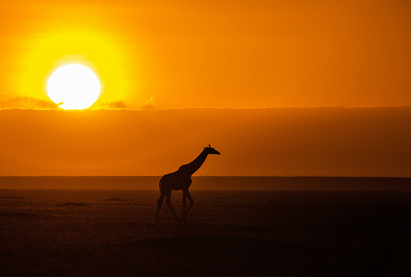 Bei Sonnenaufgang...