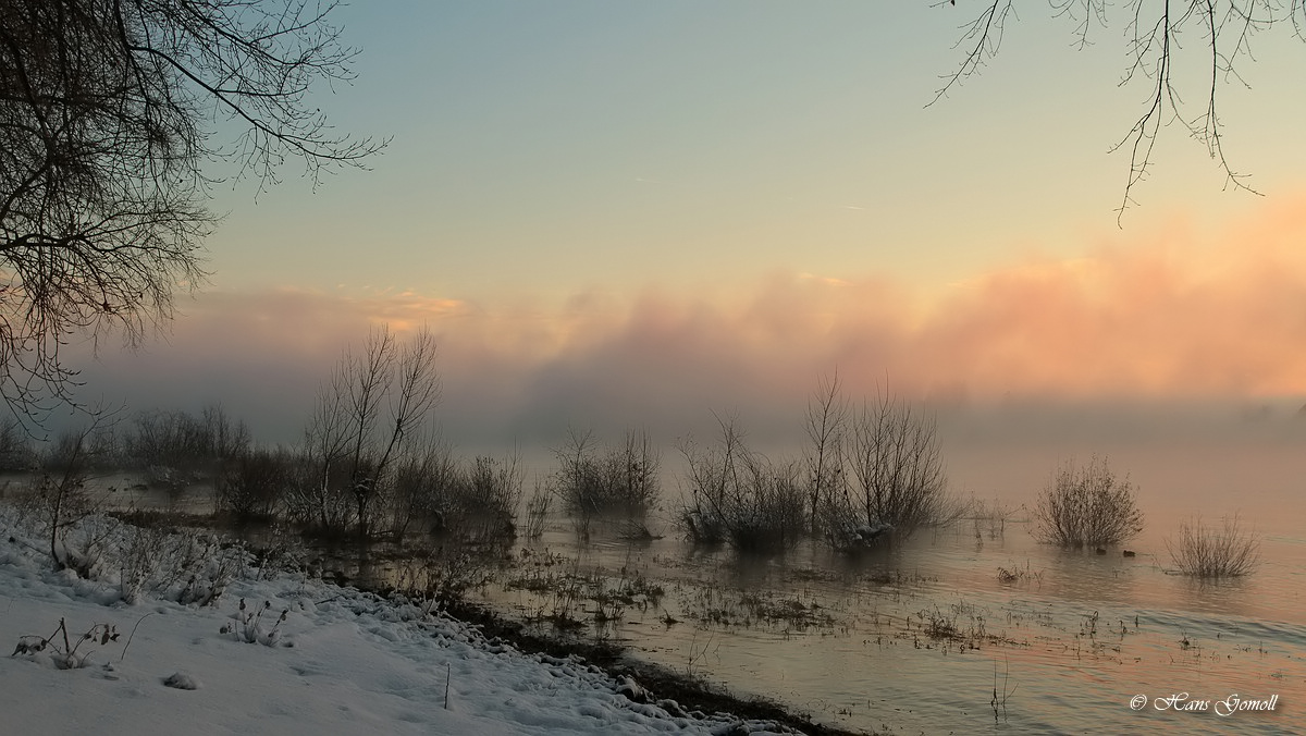 Bei Sonnenaufgang am Rhein