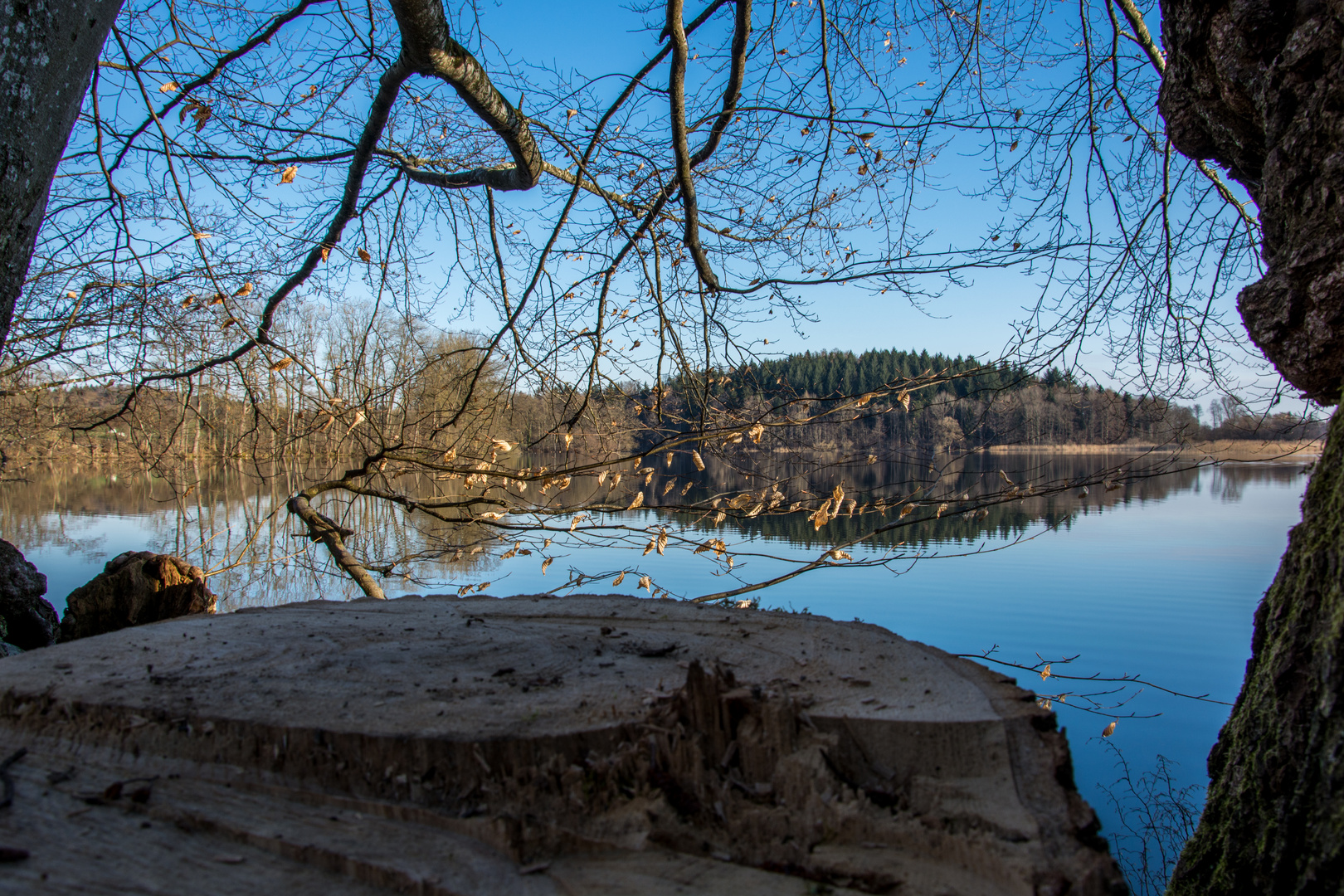 bei Sonnenaufgang am Rößlerweiher