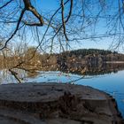 bei Sonnenaufgang am Rößlerweiher