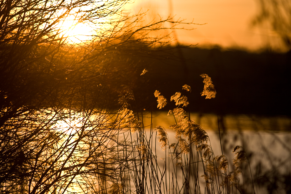 Bei Sonnenaufgang am See