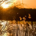 Bei Sonnenaufgang am See