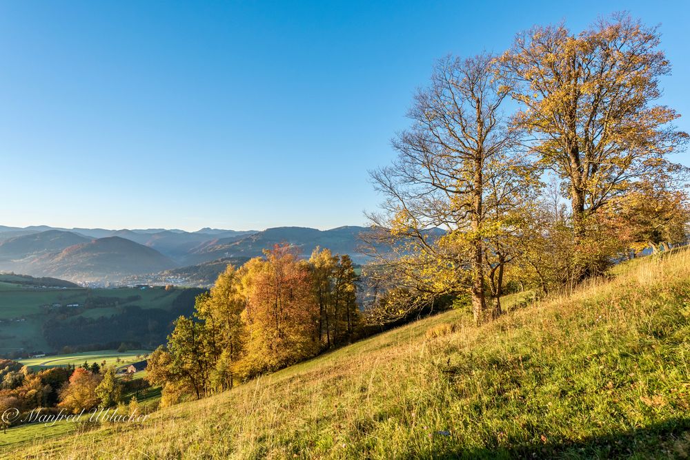 bei Sonnenaufgang am Sonntagberg ...