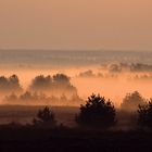 Bei Sonnenaufgang in der Südheide