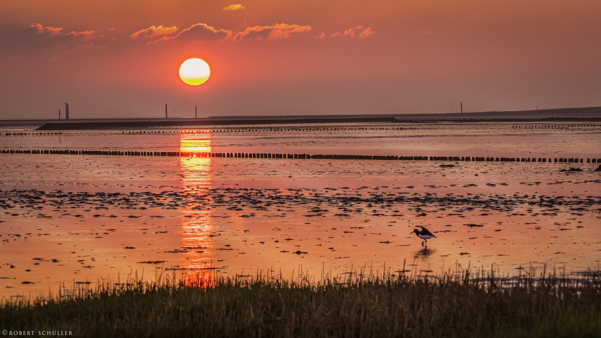 Bei Sonnenaufgang  und Niedrigwasser im Wattenmeer bei Bensersiel.