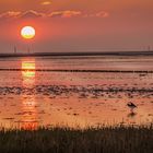 Bei Sonnenaufgang  und Niedrigwasser im Wattenmeer bei Bensersiel.