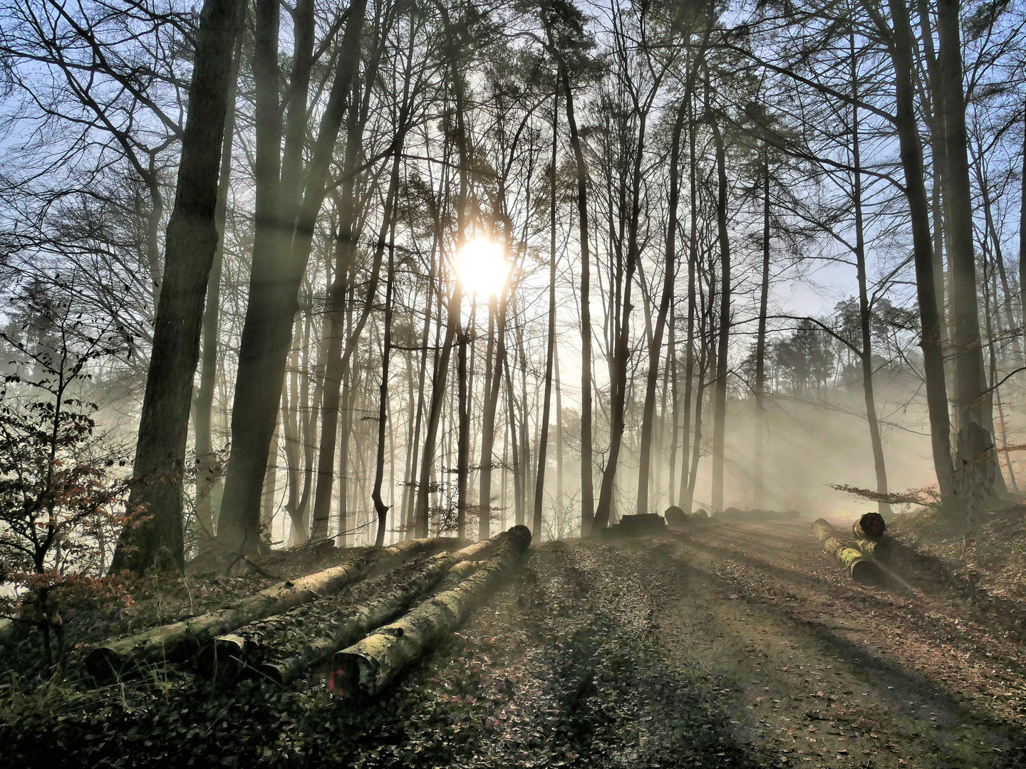 Bei Sonnenlicht unterwegs !