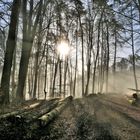 Bei Sonnenlicht unterwegs !