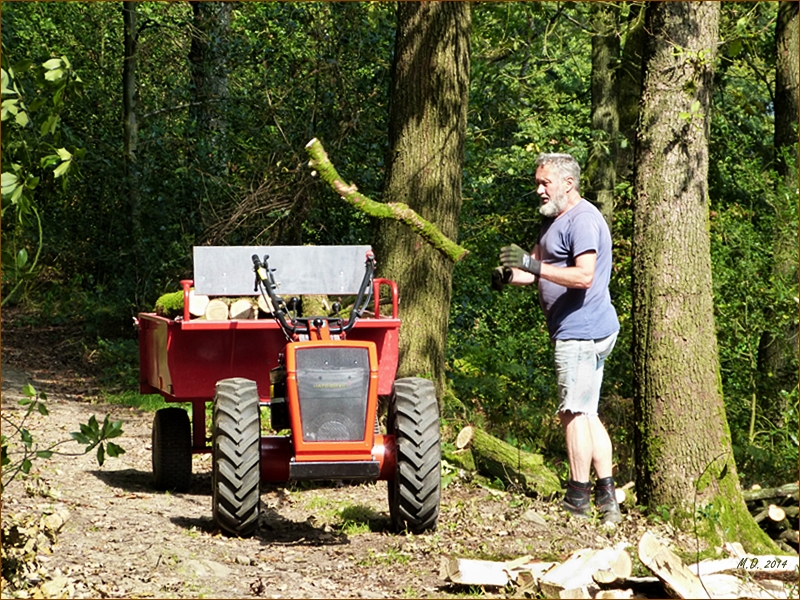 Bei Sonnenschein geht die Arbeit wie von selbst.........