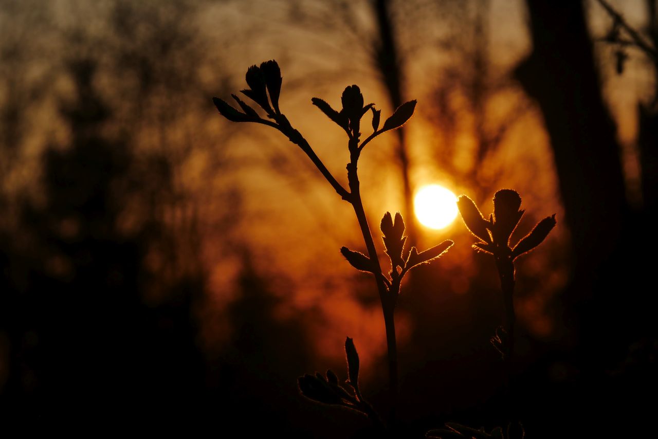 Bei Sonnenuntergang...