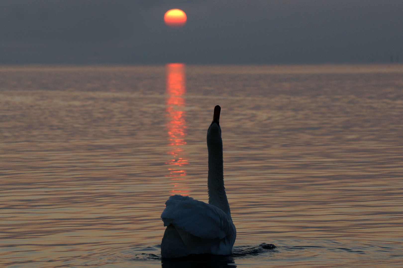 Bei Sonnenuntergang