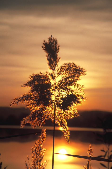 ...bei sonnenuntergang